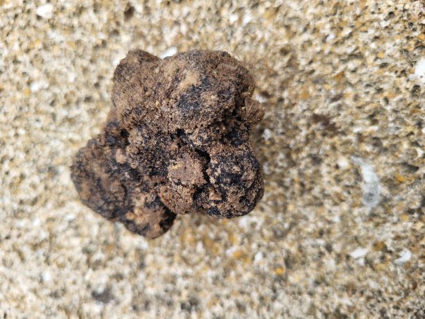 20230619_182615   ggg.jpg