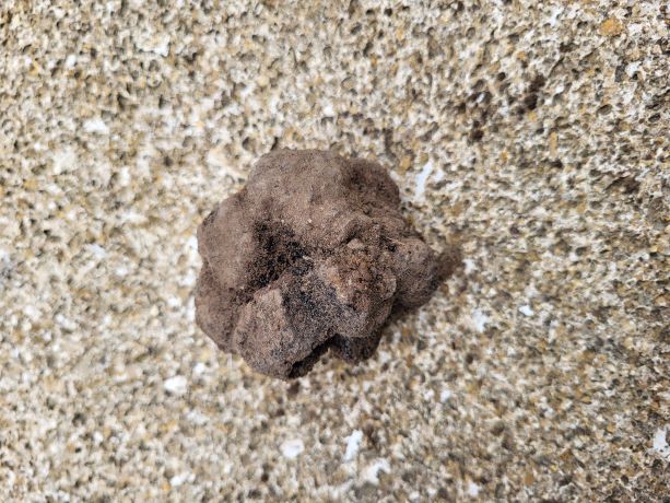 20230619_182619   ggg.jpg