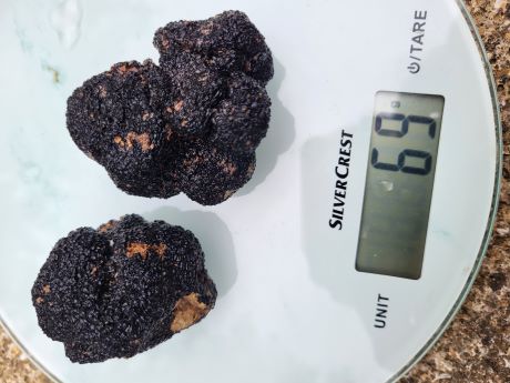 20230620_170047   ggg.jpg