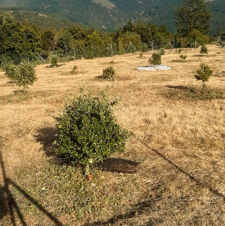 20230814_181953.jpg