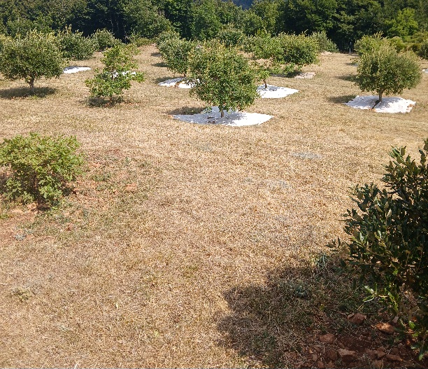 20250814_153851.jpg