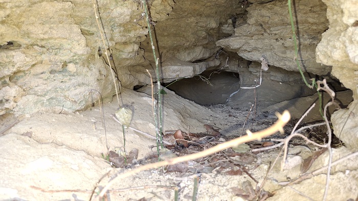 entrée terrier 1.jpg