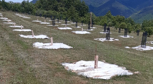 20240623_145143.jpg