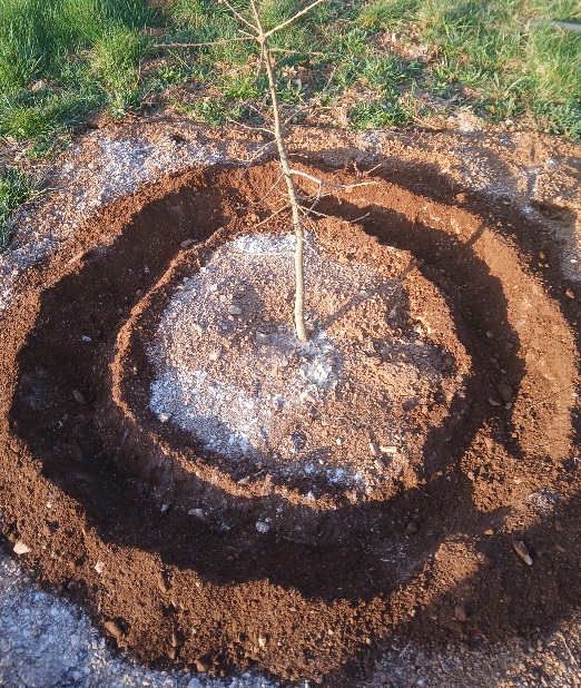 20260322_074653.jpg