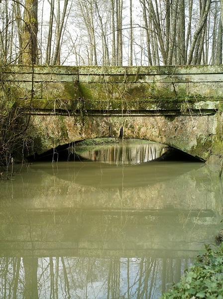 l'eau à la bouche