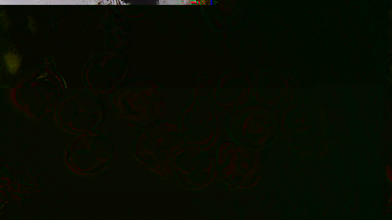 25.02.20 magnifique mure.jpg