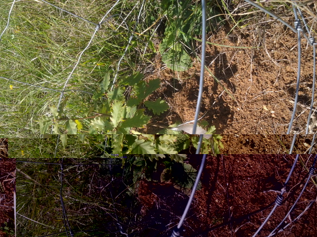 2014-09-13 15.44.20.jpg