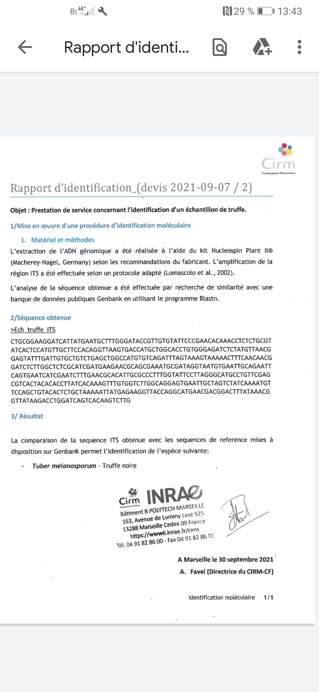 Rapport adn INRAE