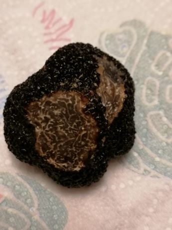 IMG_20211209_182900   ggg.jpg