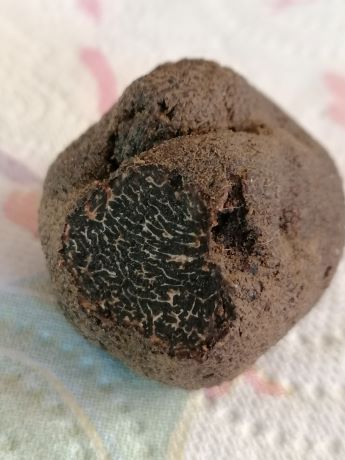 IMG_20211212_085557   ggg.jpg