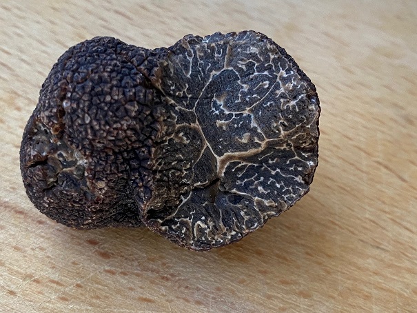truffe.jpeg