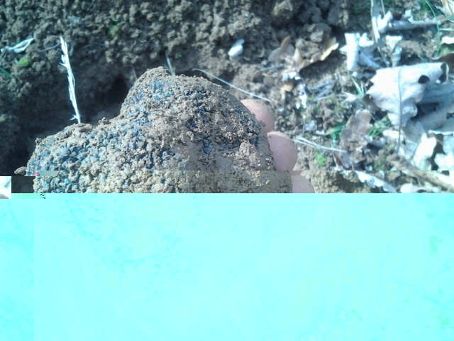 2014-11-24 11.26.02.jpg