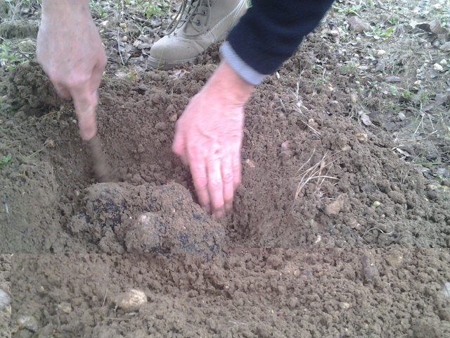 2014-11-22 15.15.25.jpg