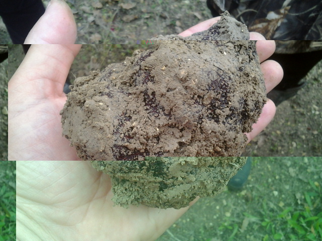 2014-11-22 15.38.44.jpg