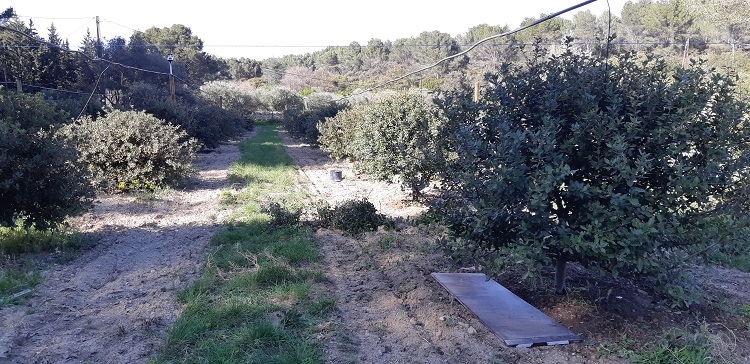 travaux arrosage.jpg