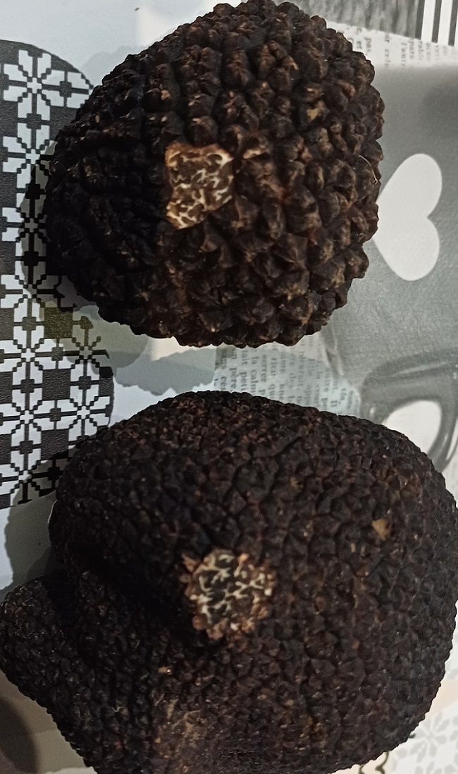 écailles de truffe 1.jpg