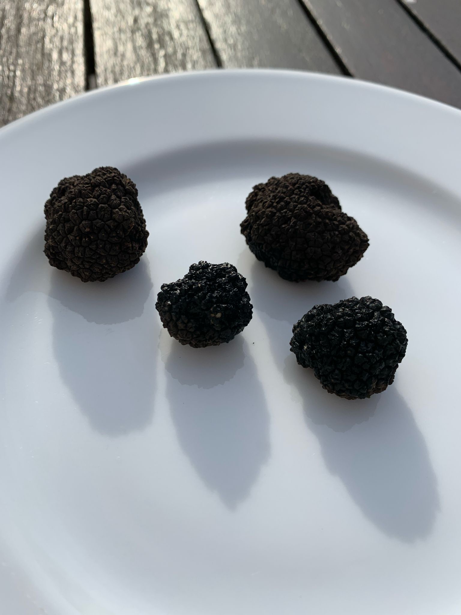 Photo truffes