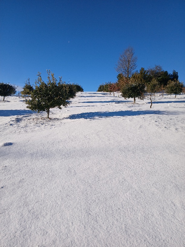 20260111_093502.jpg