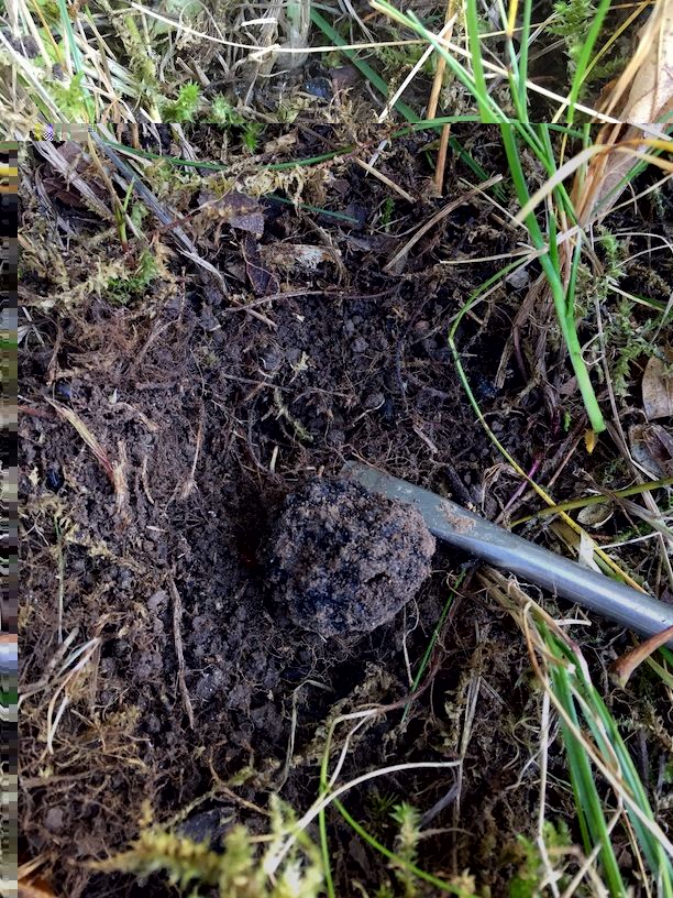 Fichier 01.11.15 17 29 46.jpg