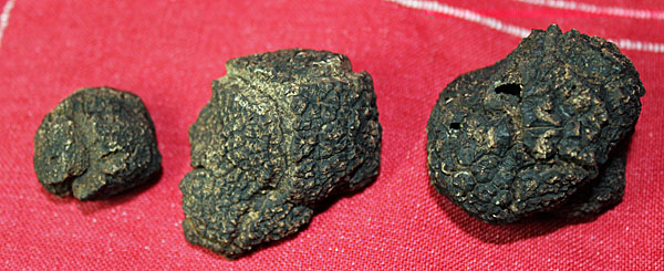 craquelures.jpg