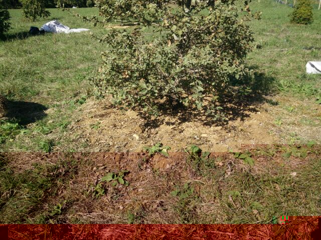 IMG_20161021_7976.jpg