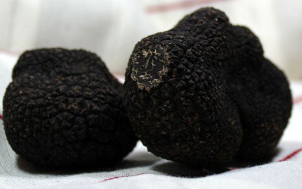 truffes 1.jpg