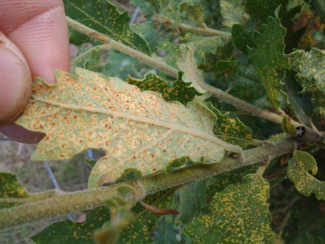 2013-07-27 10.00.38.jpg