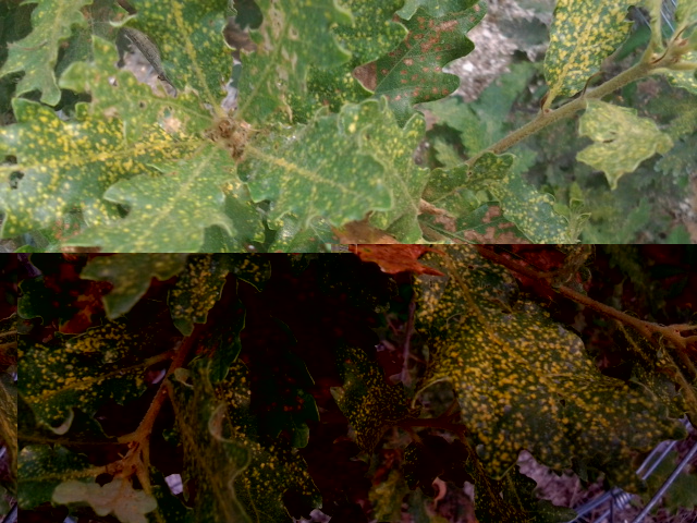 2013-07-27 10.01.04.jpg