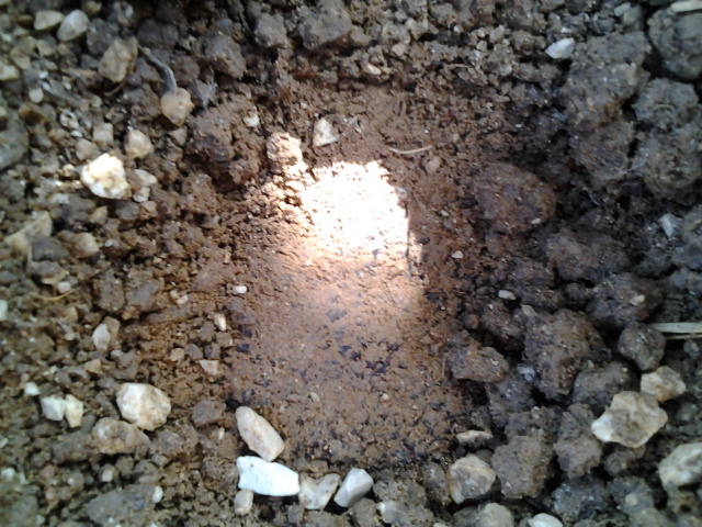 2013-09-28 14.41.53.jpg