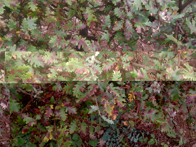 2013-09-30 11.22.06.jpg