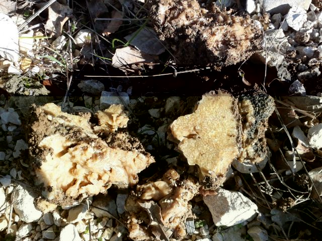 image-2018-11-18 (3).jpg