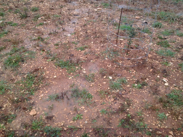 2014-01-20 15.24.55.jpg