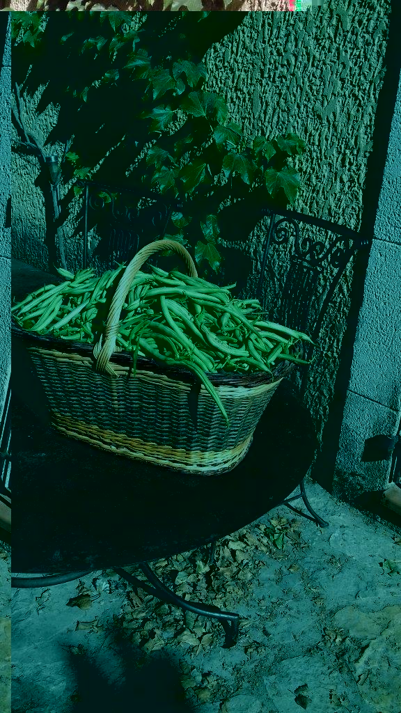 20190817_095102 11.jpg