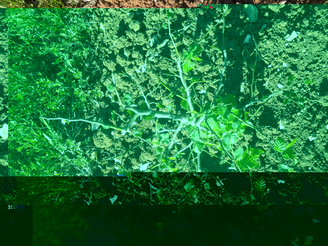 2014-04-14 17.20.00.jpg