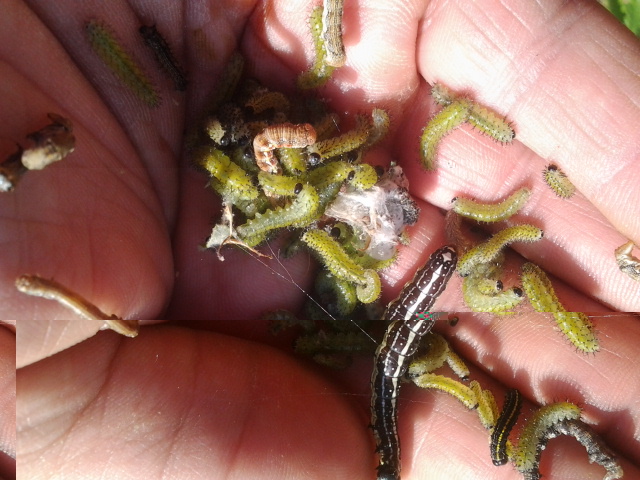 2014-04-30 17.27.42.jpg