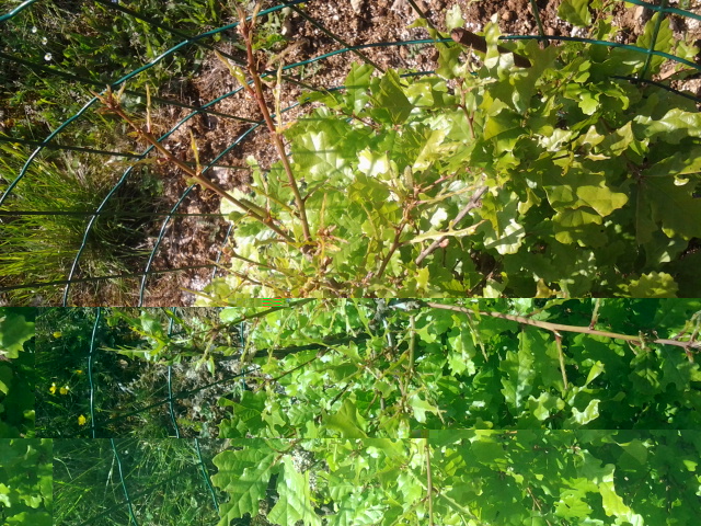 2014-04-30 17.37.03.jpg