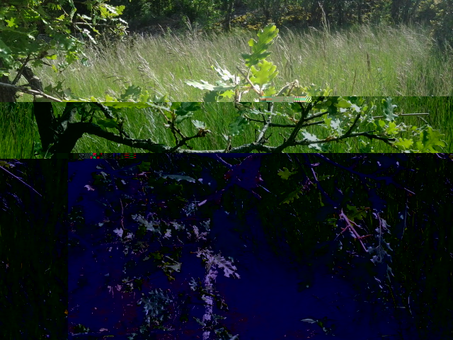 2014-04-30 17.41.24.jpg