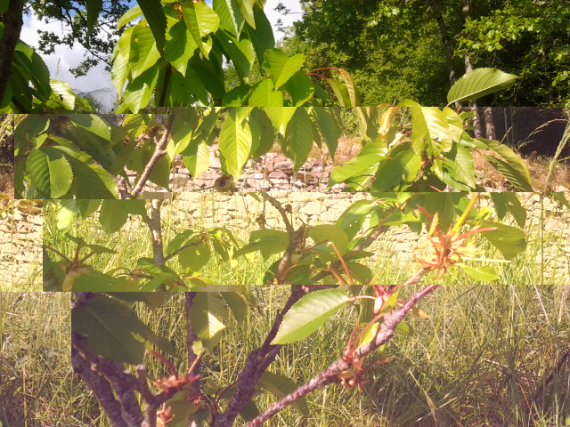 2014-04-30 17.42.30.jpg