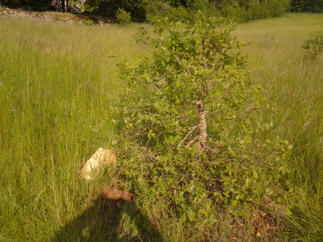 2014-04-30 17.58.27.jpg